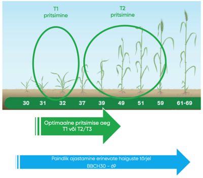 Univoq_application_recommendation_LT